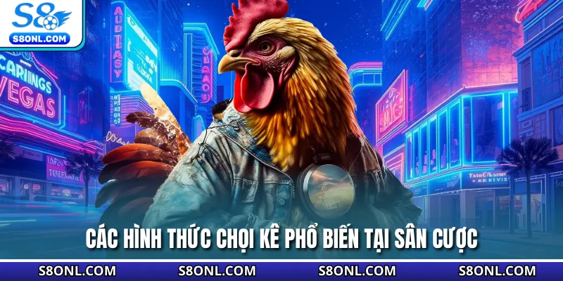 Các hình thức chọi kê phổ biến tại sân cược