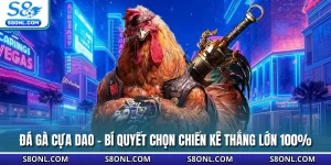 Đá Gà Cựa Dao - Bí Quyết Chọn Chiến Kê Thắng Lớn 100%