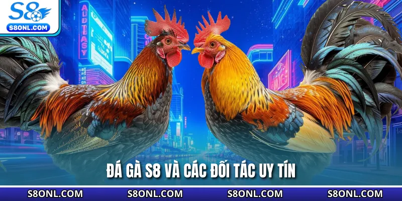 Đá gà S8 và các đối tác uy tín
