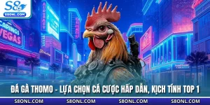 Đá Gà Thomo - Lựa Chọn Cá Cược Hấp Dẫn, Kịch Tính Top 1