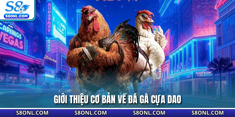 Giới thiệu cơ bản về đá gà cựa dao