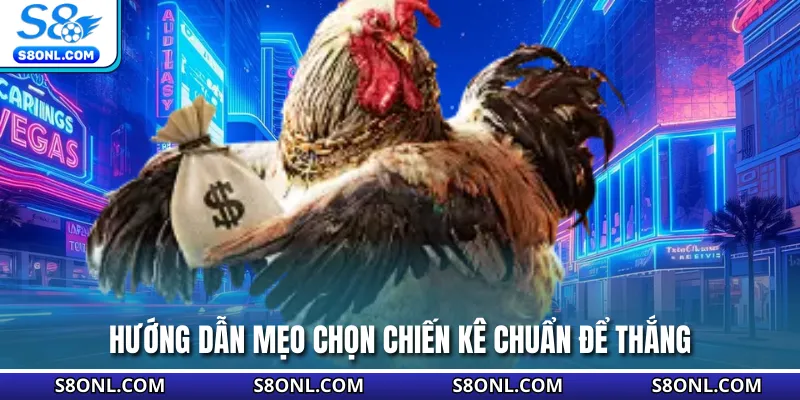 Hướng dẫn mẹo chọn chiến kê chuẩn để thắng