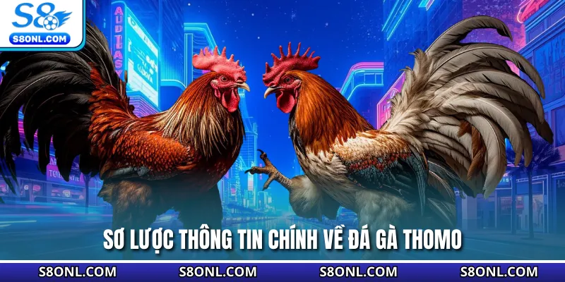 Sơ lược thông tin chính về đá gà Thomo